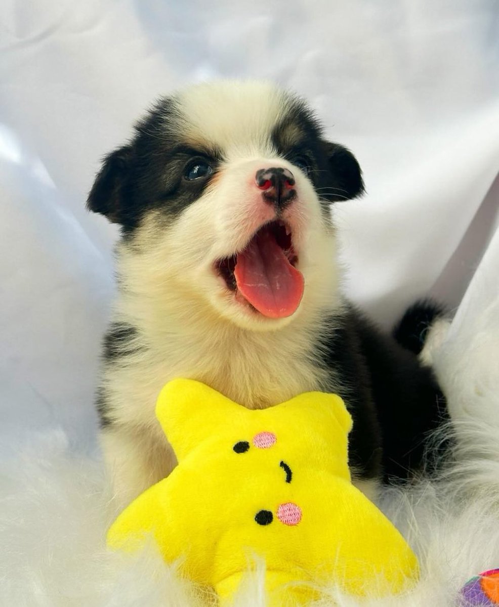 Vintage Culture tweet media