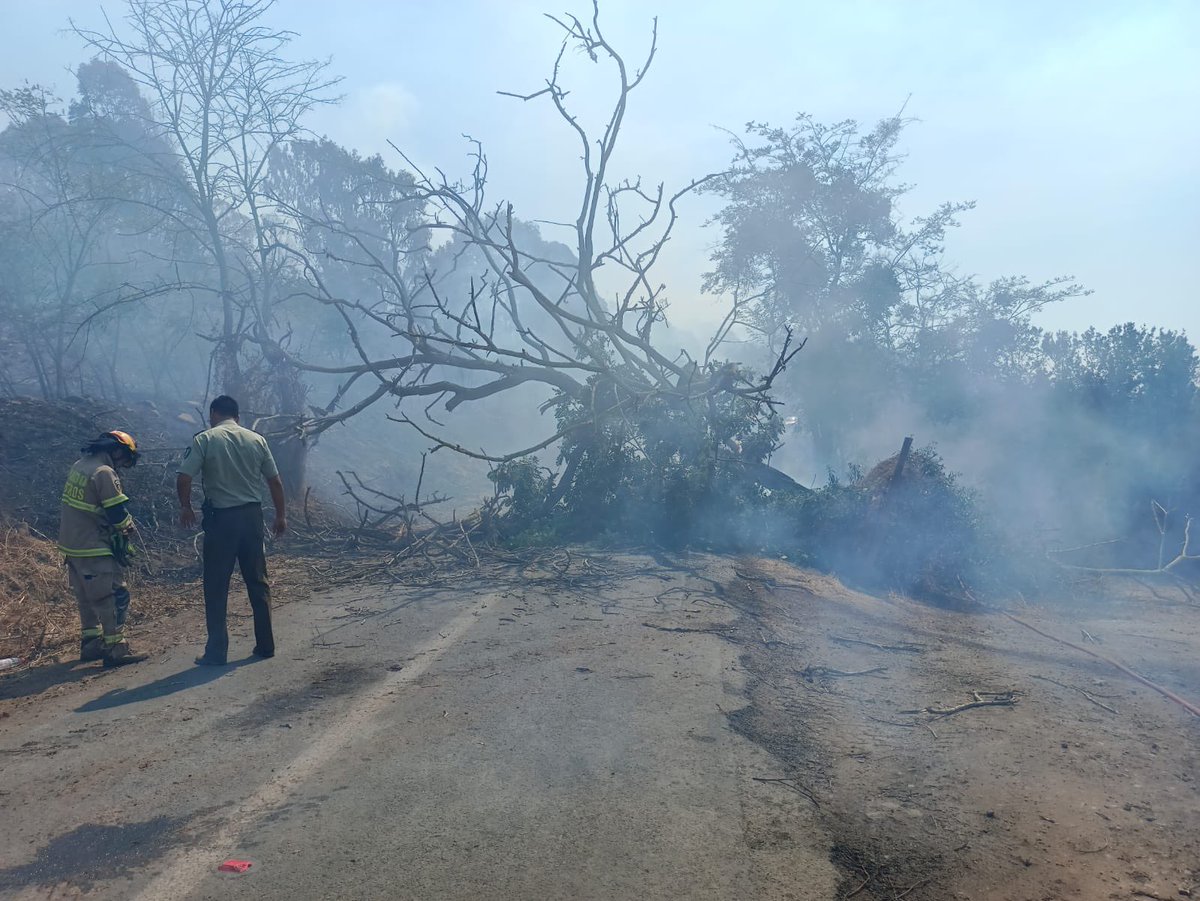 Carabdechile's tweet photo. 🚨 #Urgente: Nos desplegamos rápidamente en la comuna de #Papudo, a raíz de los #IncendiosForestales, apoyando diferentes labores en esta emergencia, manteniendo vías despejadas para el trabajo de @BomberosdeChile.
#CarabinerosDeTodos https://t.co/mBOwwwSARg
