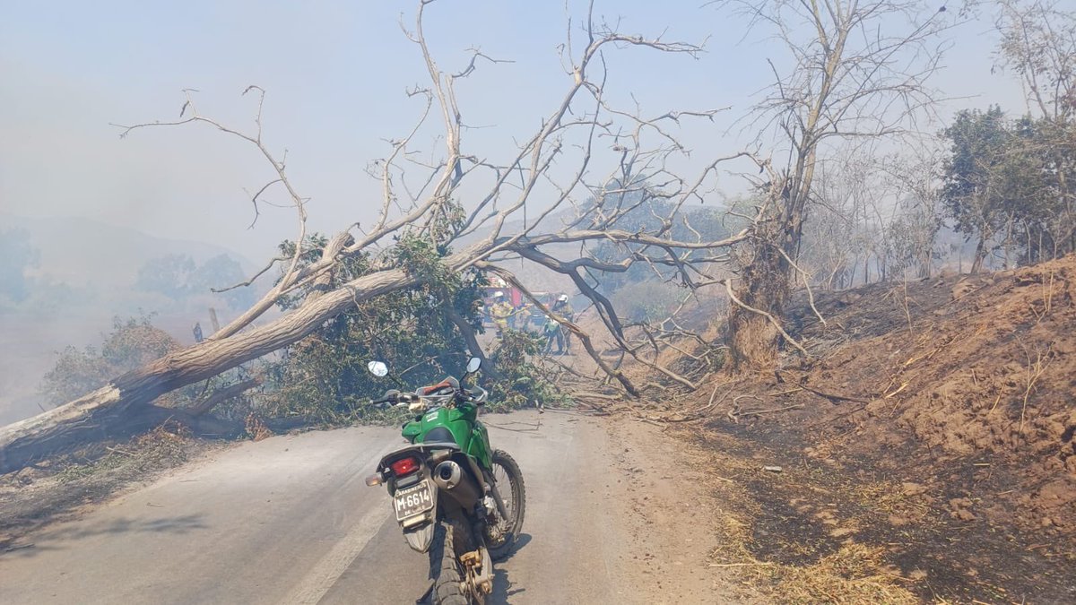 Carabdechile's tweet photo. 🚨 #Urgente: Nos desplegamos rápidamente en la comuna de #Papudo, a raíz de los #IncendiosForestales, apoyando diferentes labores en esta emergencia, manteniendo vías despejadas para el trabajo de @BomberosdeChile.
#CarabinerosDeTodos https://t.co/mBOwwwSARg
