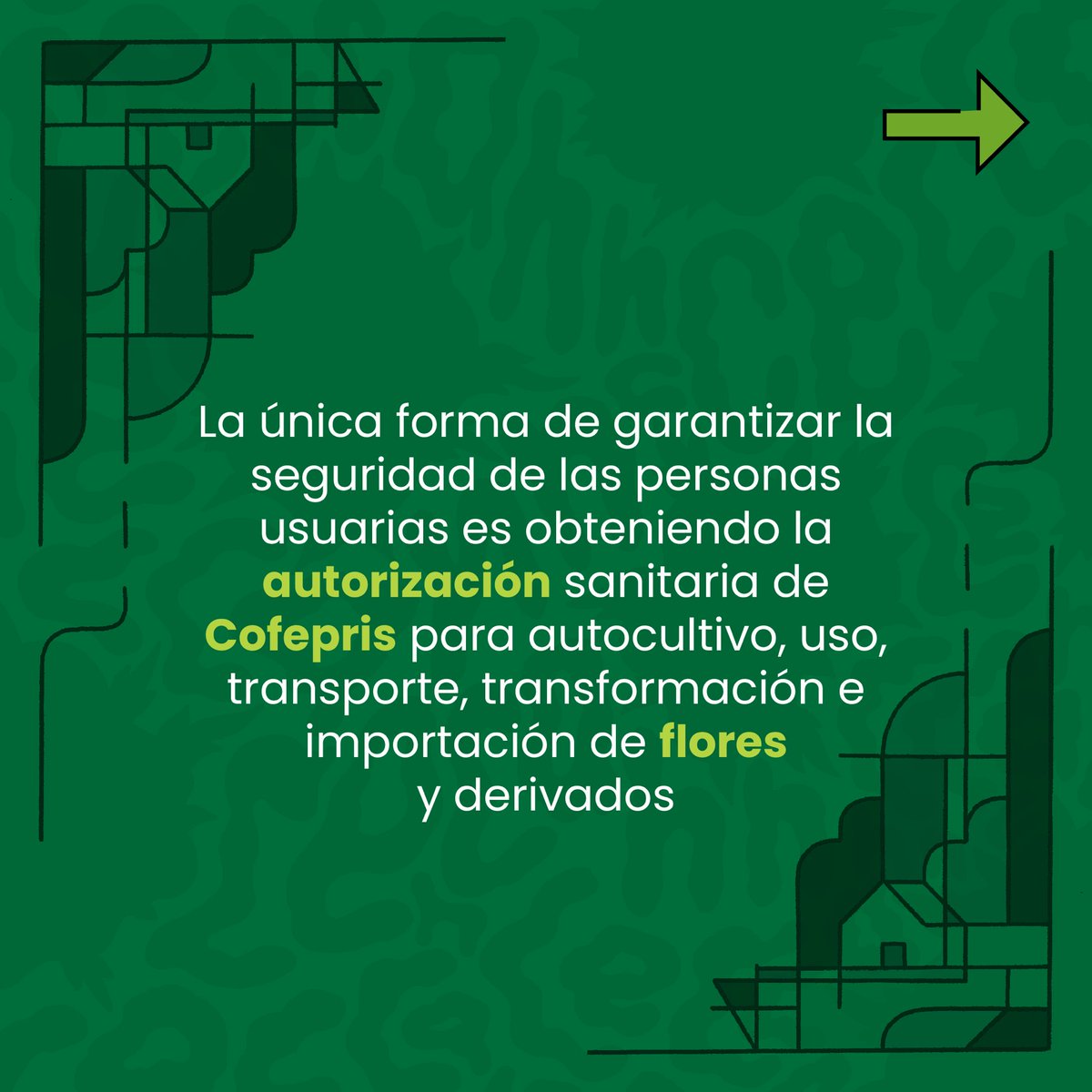 CeccannMX's tweet photo. A pesar de eso, la posesión y el consumo de flores siguen siendo considerados como delitos debido a la falta de regulación por parte del Congreso

2/3 https://t.co/AfQGMGN477