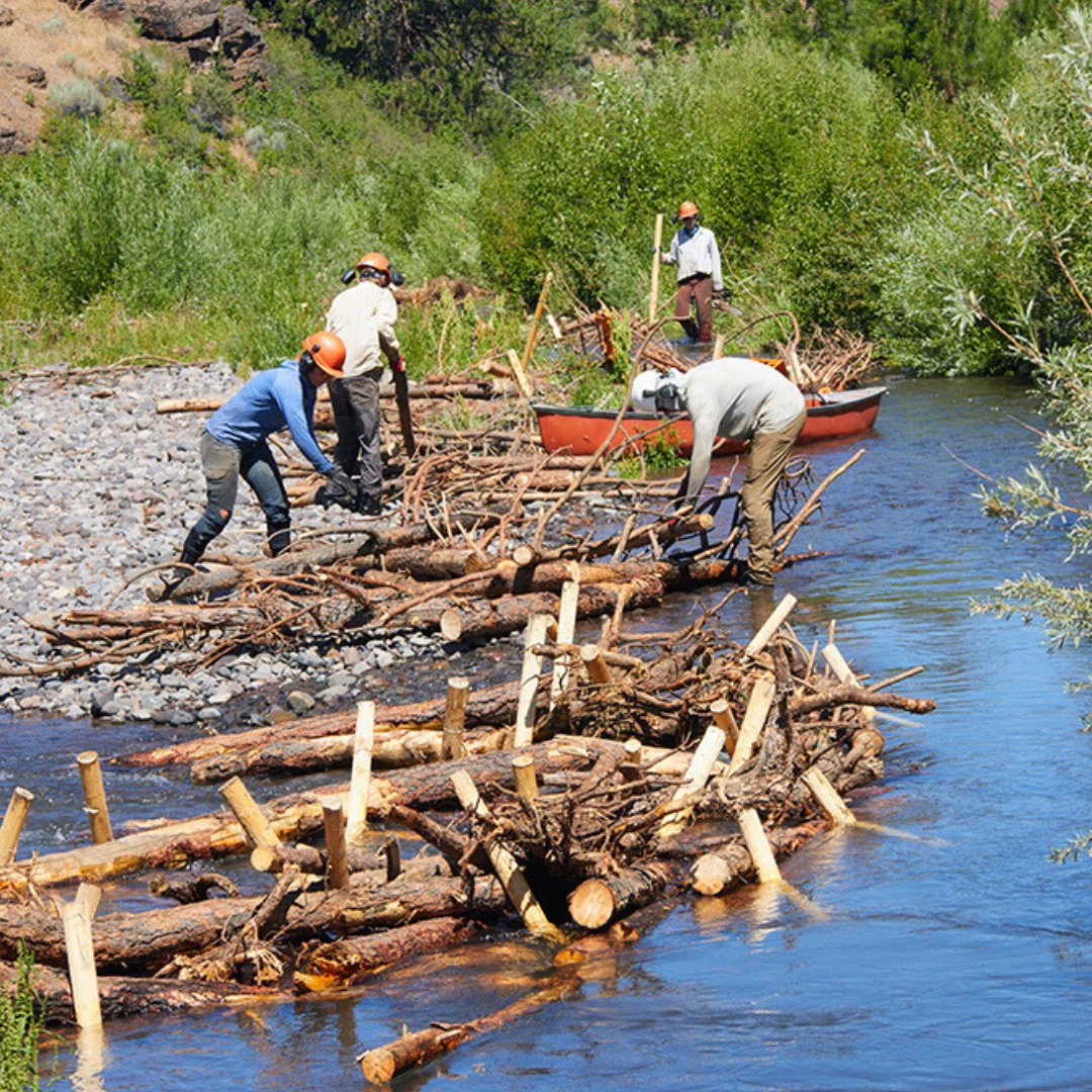 Just how BIG is the impact of LT-PBR? That's exactly what the LT-PBR (low-tech process based restoration) Explorer is designed to answer. 
For more info: bda-explorer.herokuapp.com 🪵🌲🌊

#bda #ltpbr #structuraltreatment #rivers #riverrestoration #conservation #environmentaltech