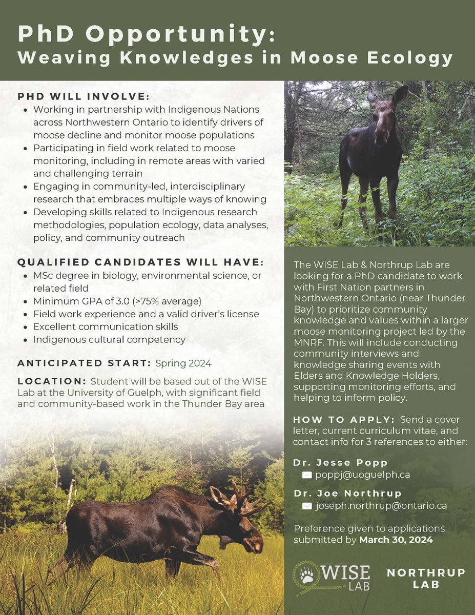 The #WISElab and @JMNorthrup labs are seeking a PhD student to join us alongside several First Nations to weave knowledges in moose ecology research. Apply now!