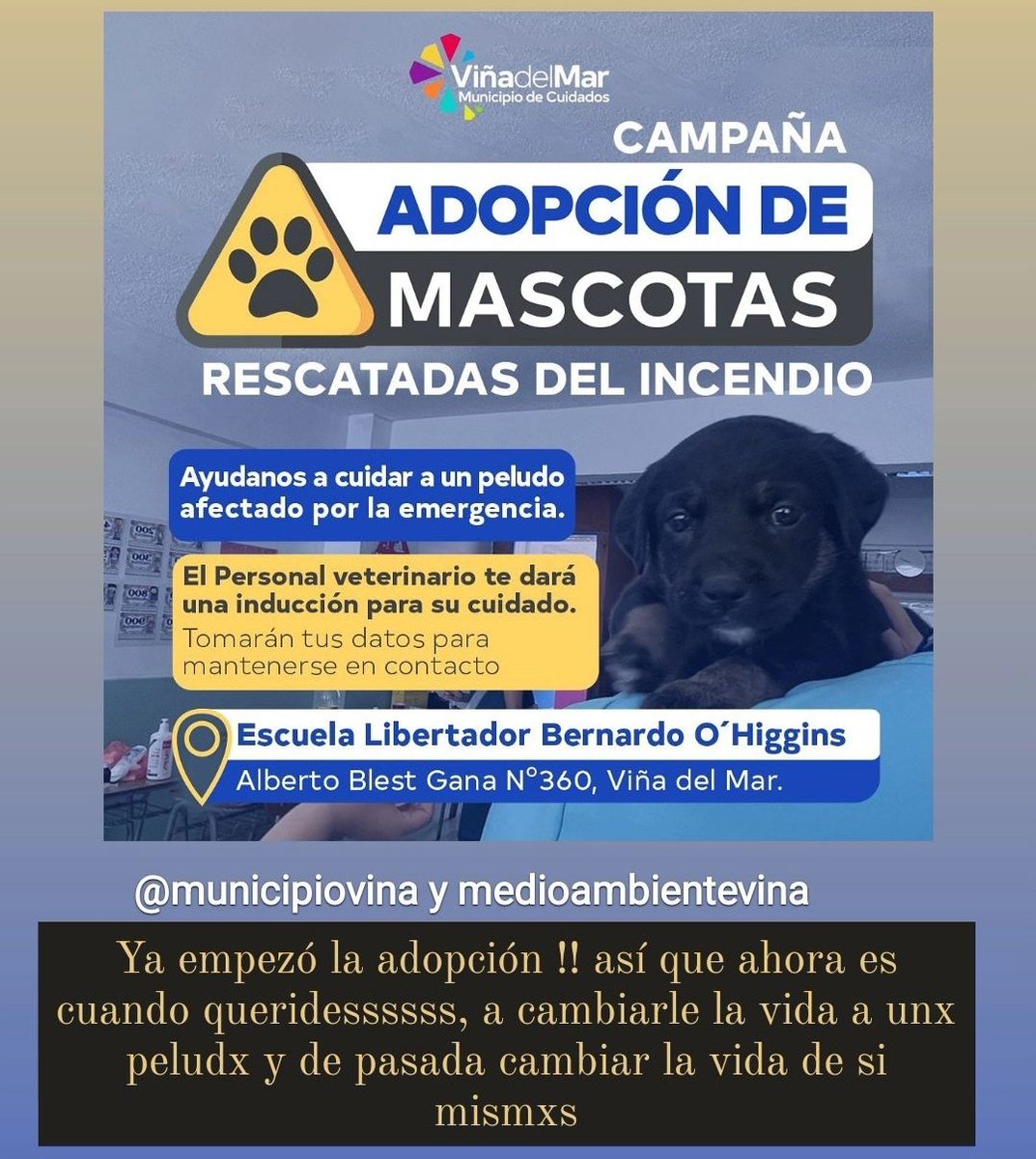RobertoMerken's tweet image. 🔴 Campaña adopta un peludo ❤️ 🐕🐈🐈‍⬛