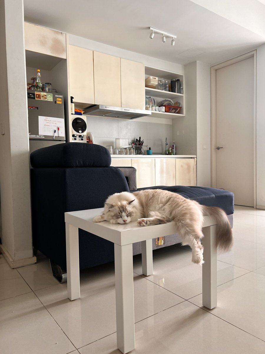 hanifjamals tweet media