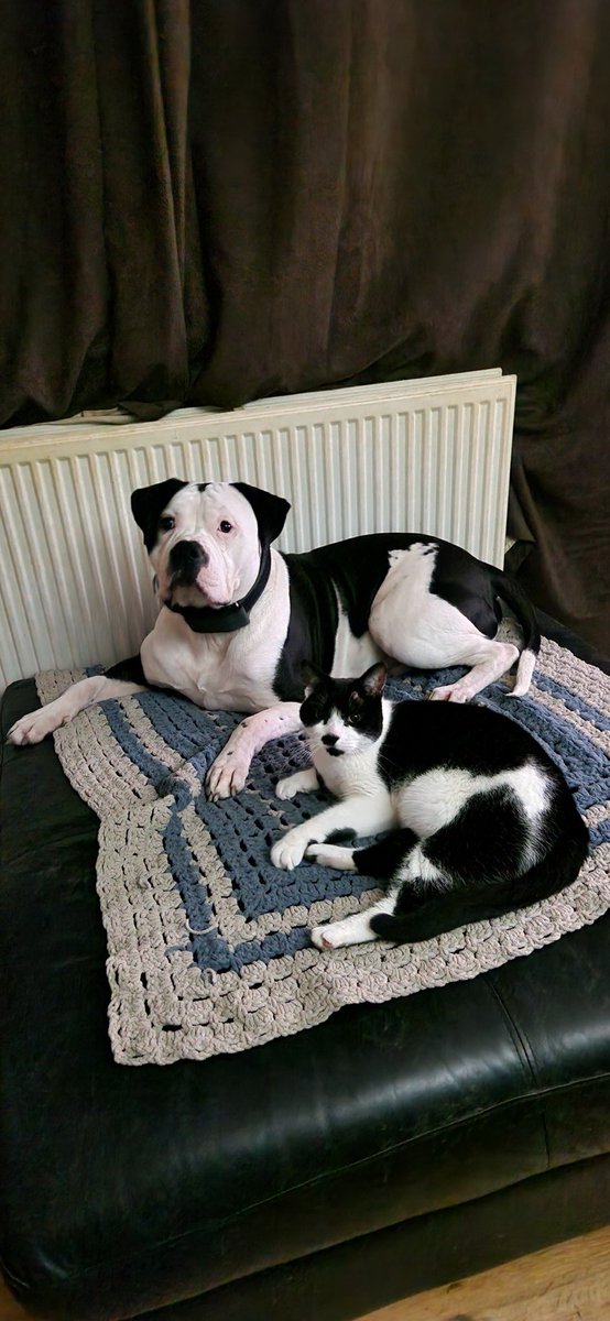 Pet love...
These dudes are such posers.