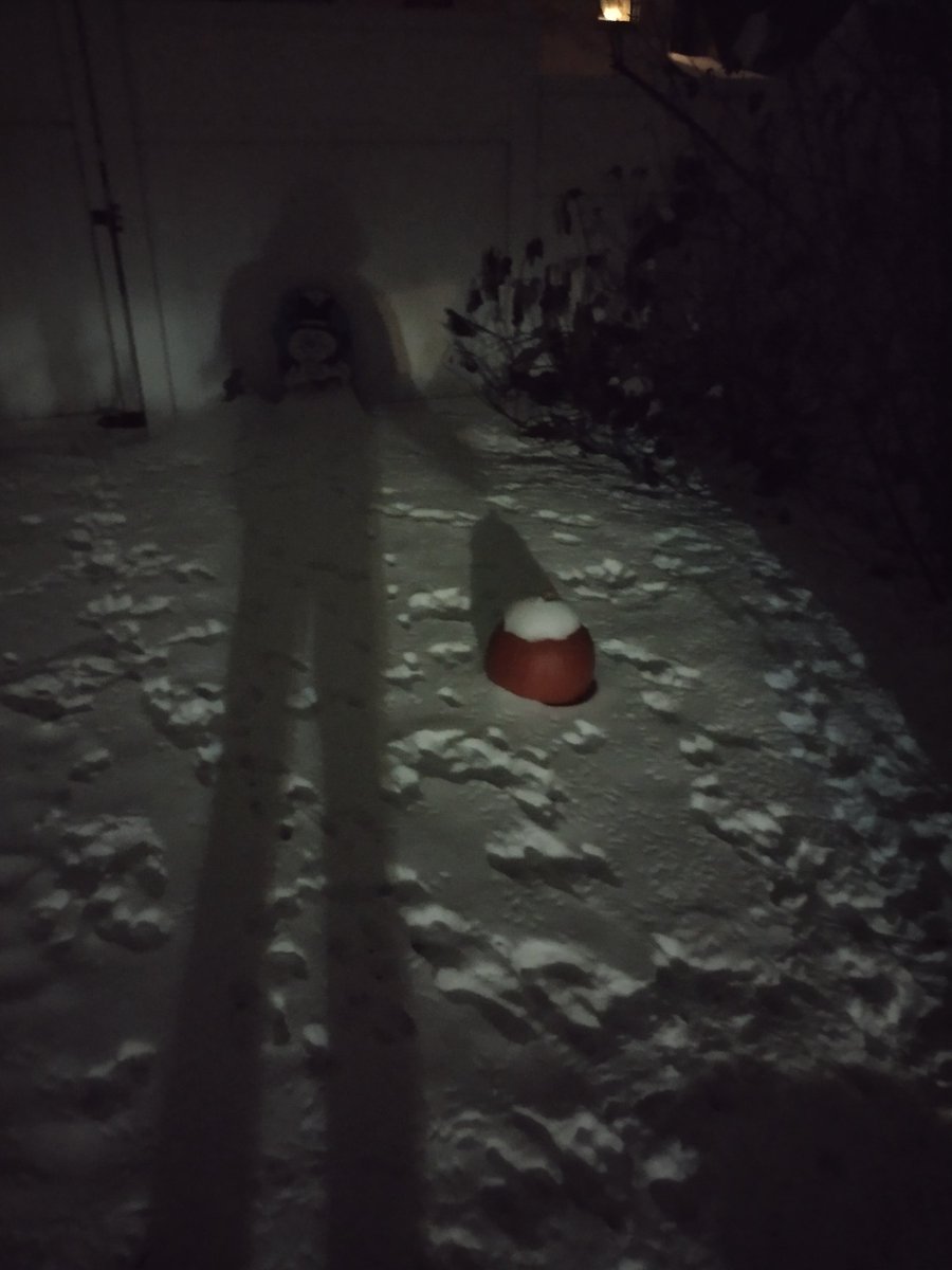 JMaldeir's tweet image. 🎃 Legends Never Die 👻 #shadow #ghost #friend #jack #winter #selfie #halloween #song #pumpkin #trending #viral #fyp #picoftheday