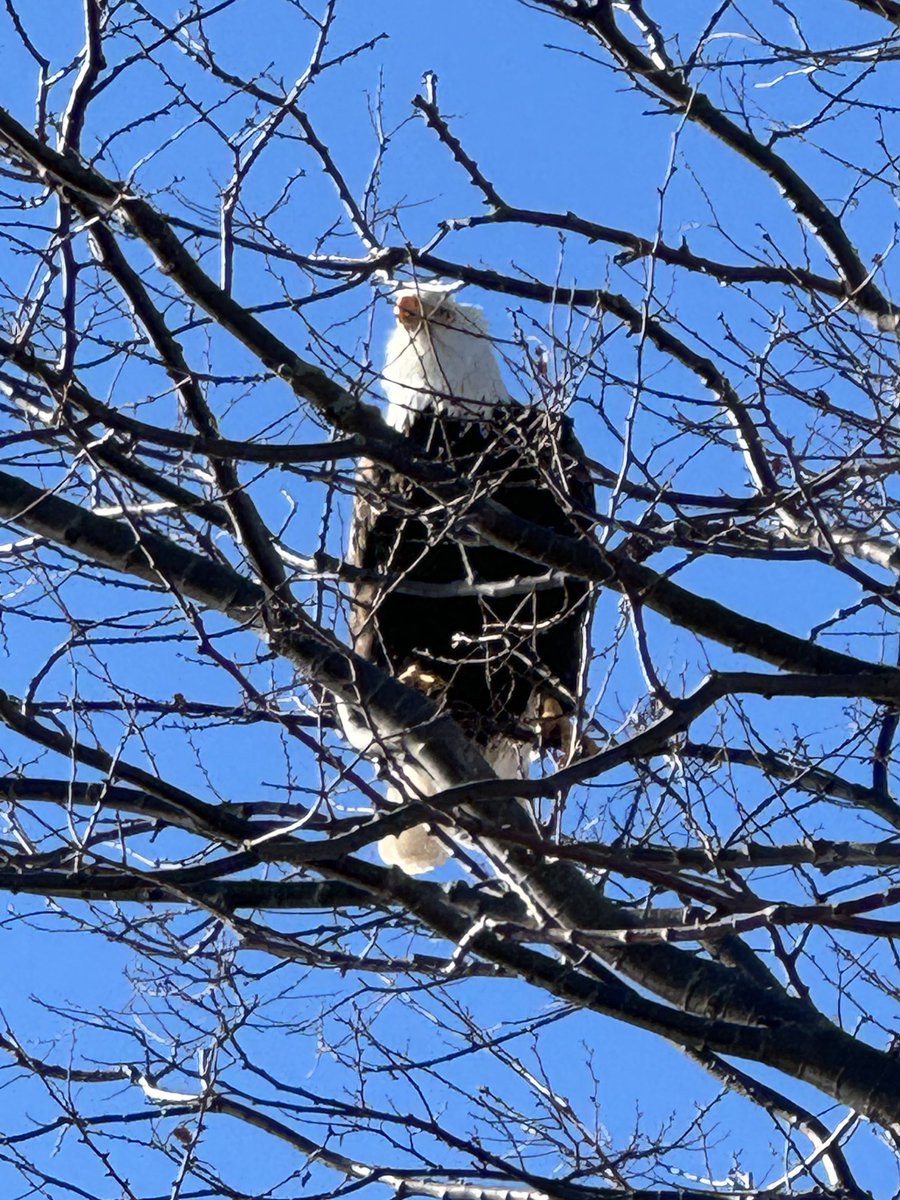 Iain Cheeseman tweet media