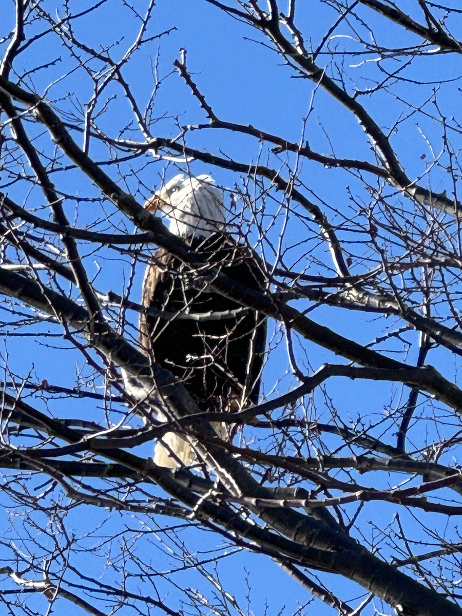 Iain Cheeseman tweet media