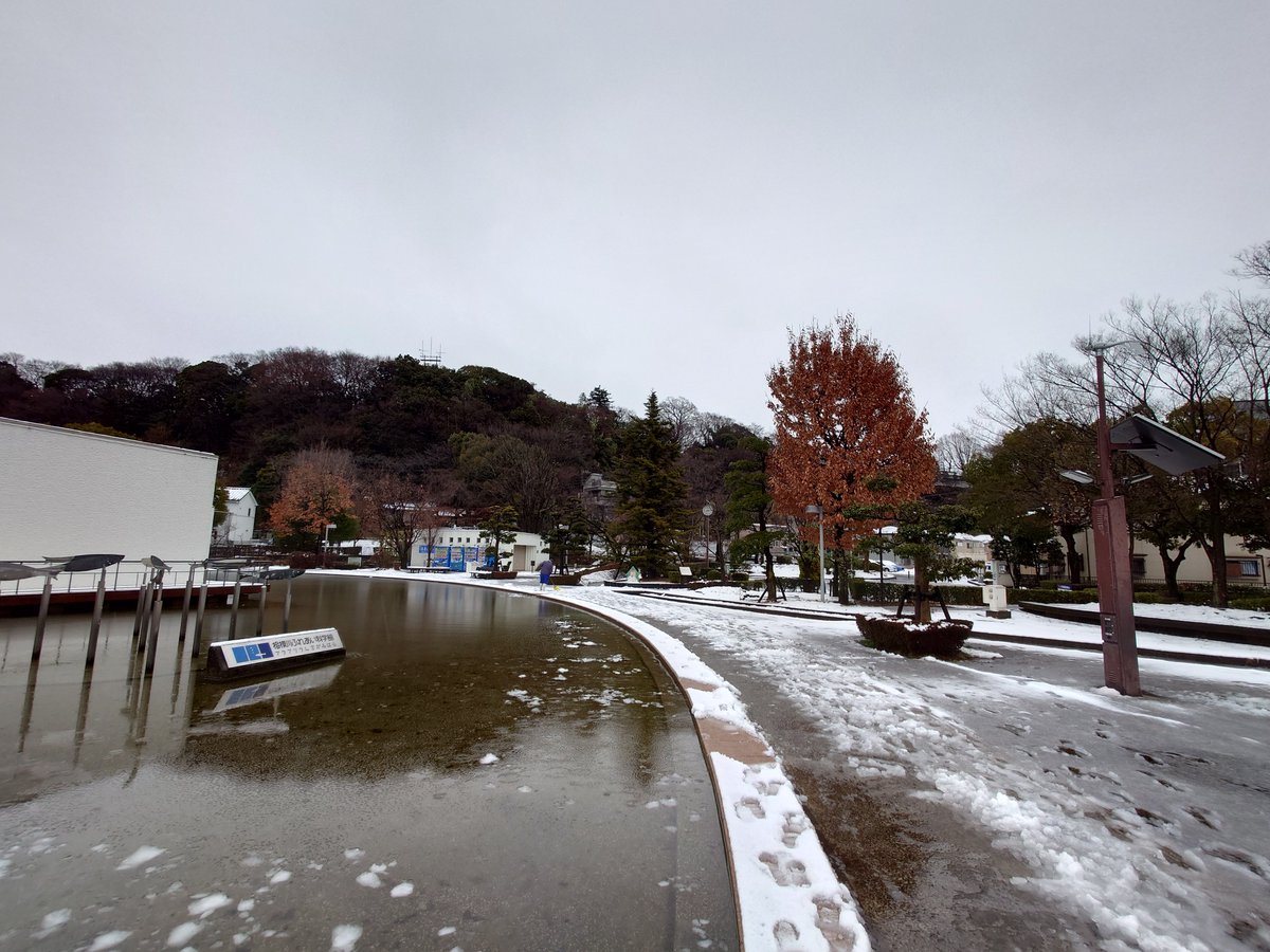 aq_sagamigawa's tweet photo. おはようございます!昨日の雪はまだ残っていますが、入口のデッキは綺麗に除雪しました♡
相模川ふれあい科学館は本日も通常通り開館(9:30~16:30)です♪
#相模川 #水族館 #科学館 #aquarium #science_museum #sagamigawa https://t.co/yzqA9u0f0n