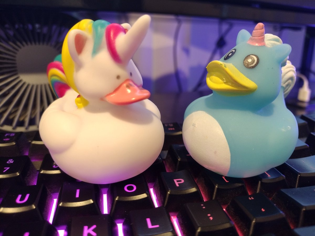 KcazTheGamer's tweet photo. Idk about you but my Ducks and I are ready to stream! https://t.co/zFHT75OIGz