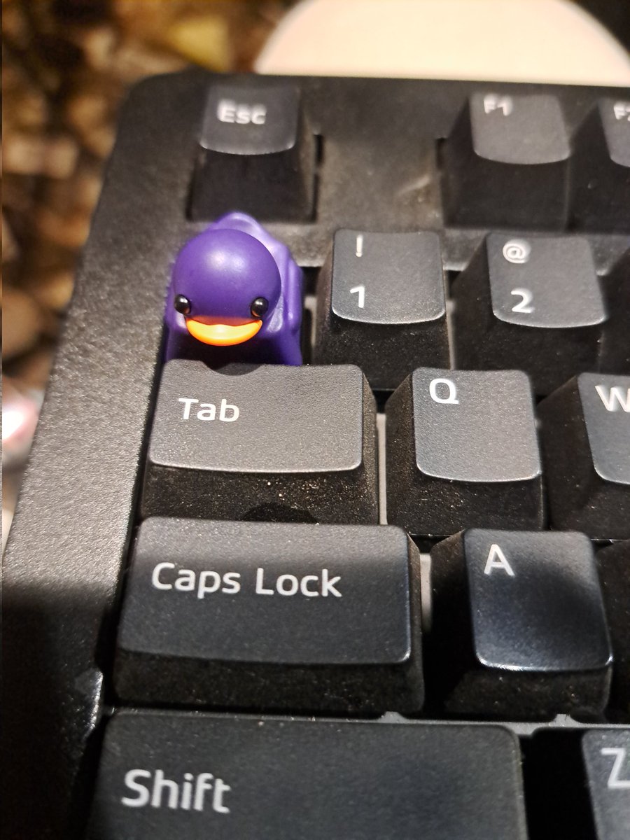 I have installed an official @duckeycaps on my dasKeyboard.