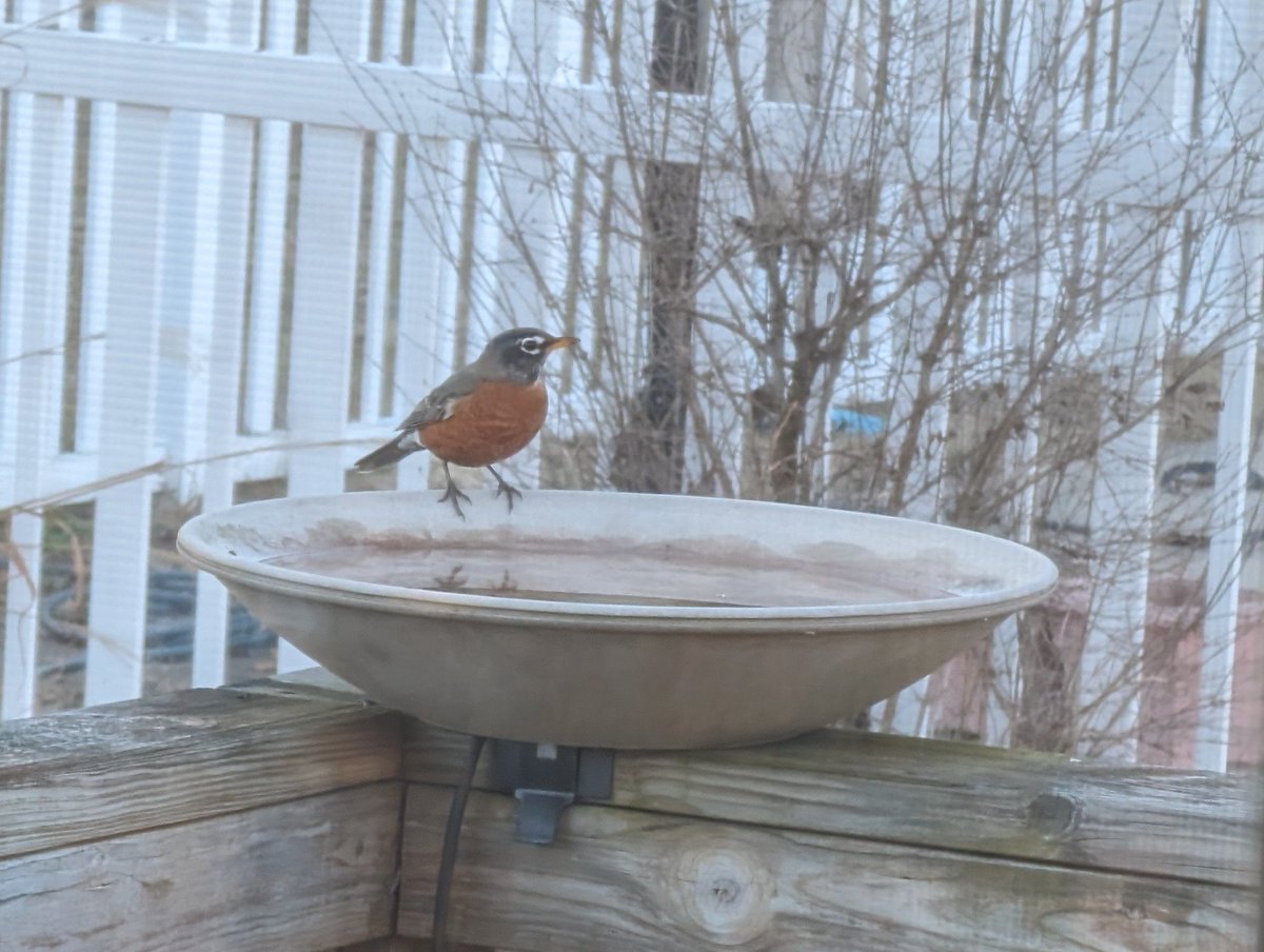 Andy Stratton tweet media