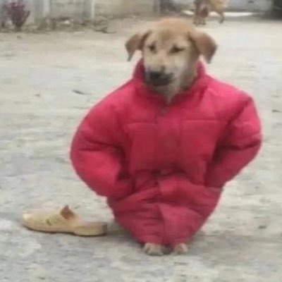 sentinuse's tweet photo. #YeniProfilResmi https://t.co/4lEZl2BjAE