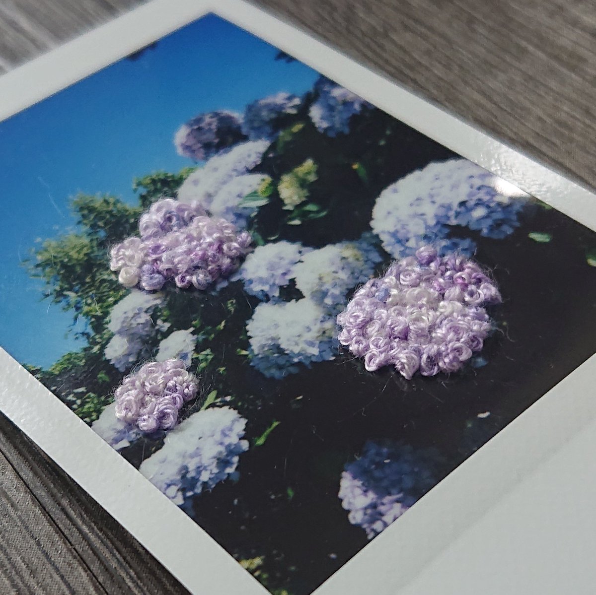 memories of hydrangeas