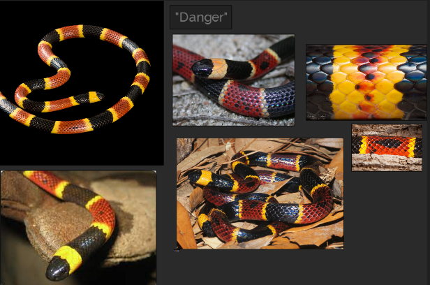 SimonisSydney's tweet photo. Participated last weekend in @JAMAJamMidwest 's 24-hour Asset Jam! The prompt was Danger, so I tried my hand at making a coral snake scale material ๐ in #SubstanceDesigner #jamajam https://t.co/01ALoEH4ZE