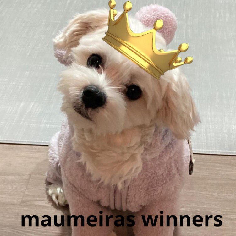 JungCatBrasil's tweet image. 🐈 • GINCANA JUNGCAT BRASIL

 • Somatória dos pontos de hoje 05/02

- TIME MAEUMI 🐶 : 550 pontos
- TIME INJANG 🌵 : 350 pontos

• Enceramos o primeiro dia de gincana com sucesso, foi muito legal e divertido (🤭) amanhã tem mais e não desanimem! Boa noite ENGENEs ❤️

#JUNGWON