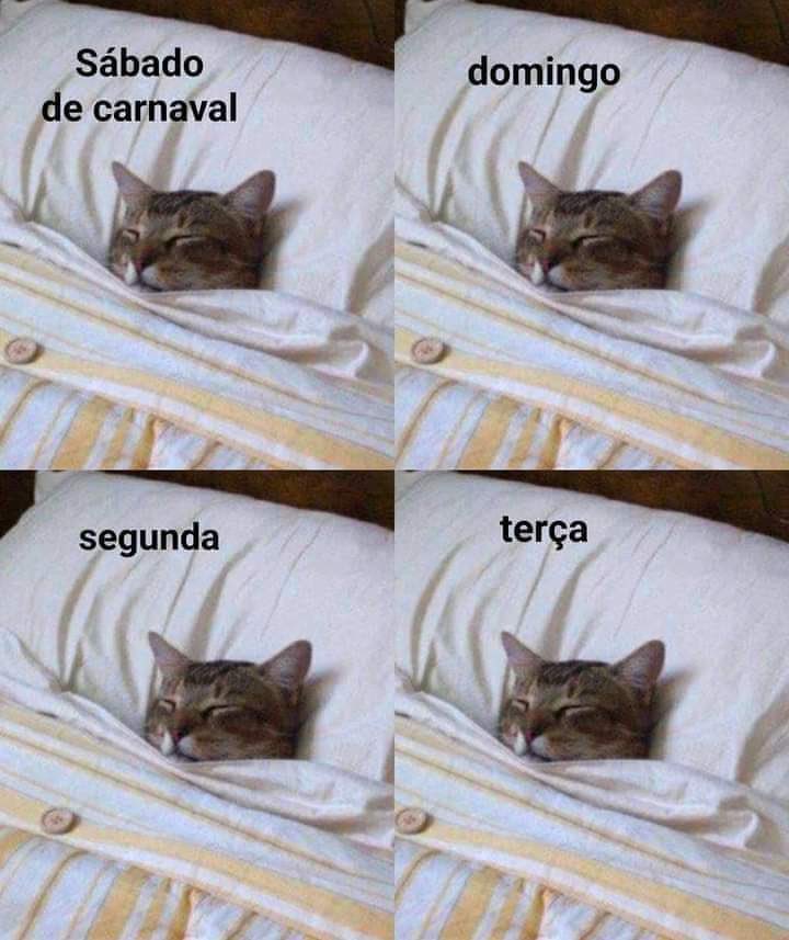 quais seus planos pro carnaval???

eu: