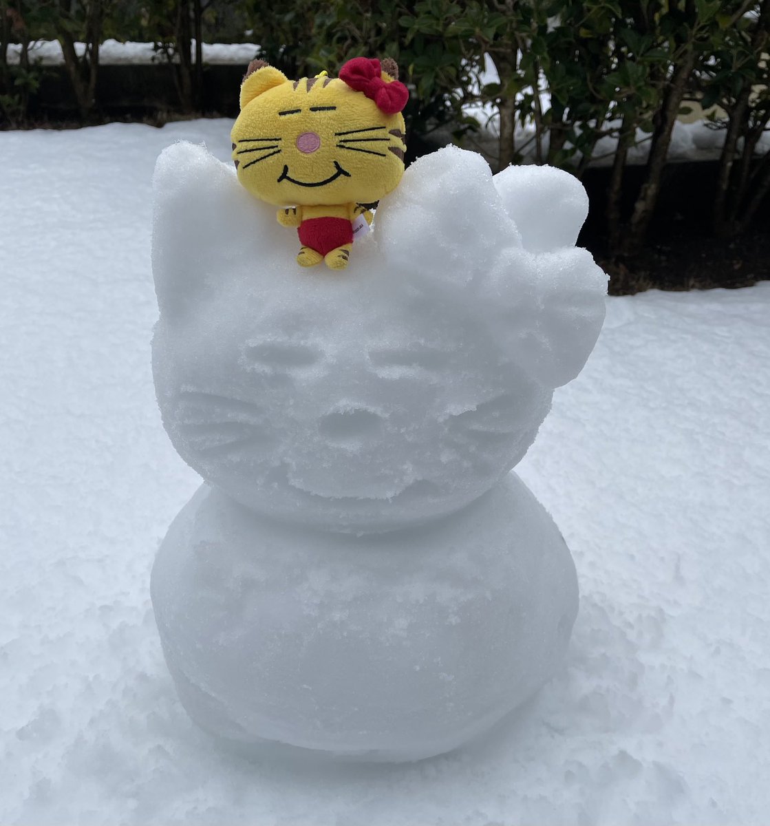 やこ tweet media