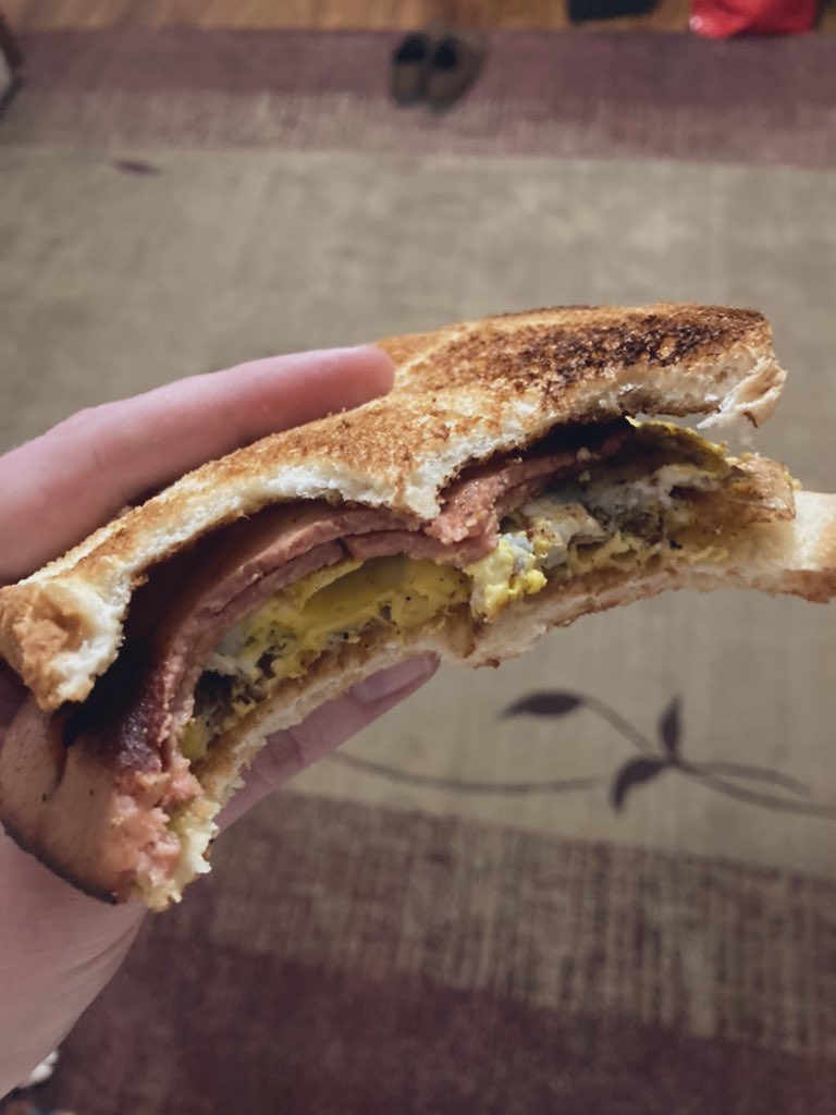TyJohnson96's tweet photo. I will never be too good to refuse a fried egg bologna and cheese sandwich for dinner! #itsasouthernthing https://t.co/U9qq9s7dkO
