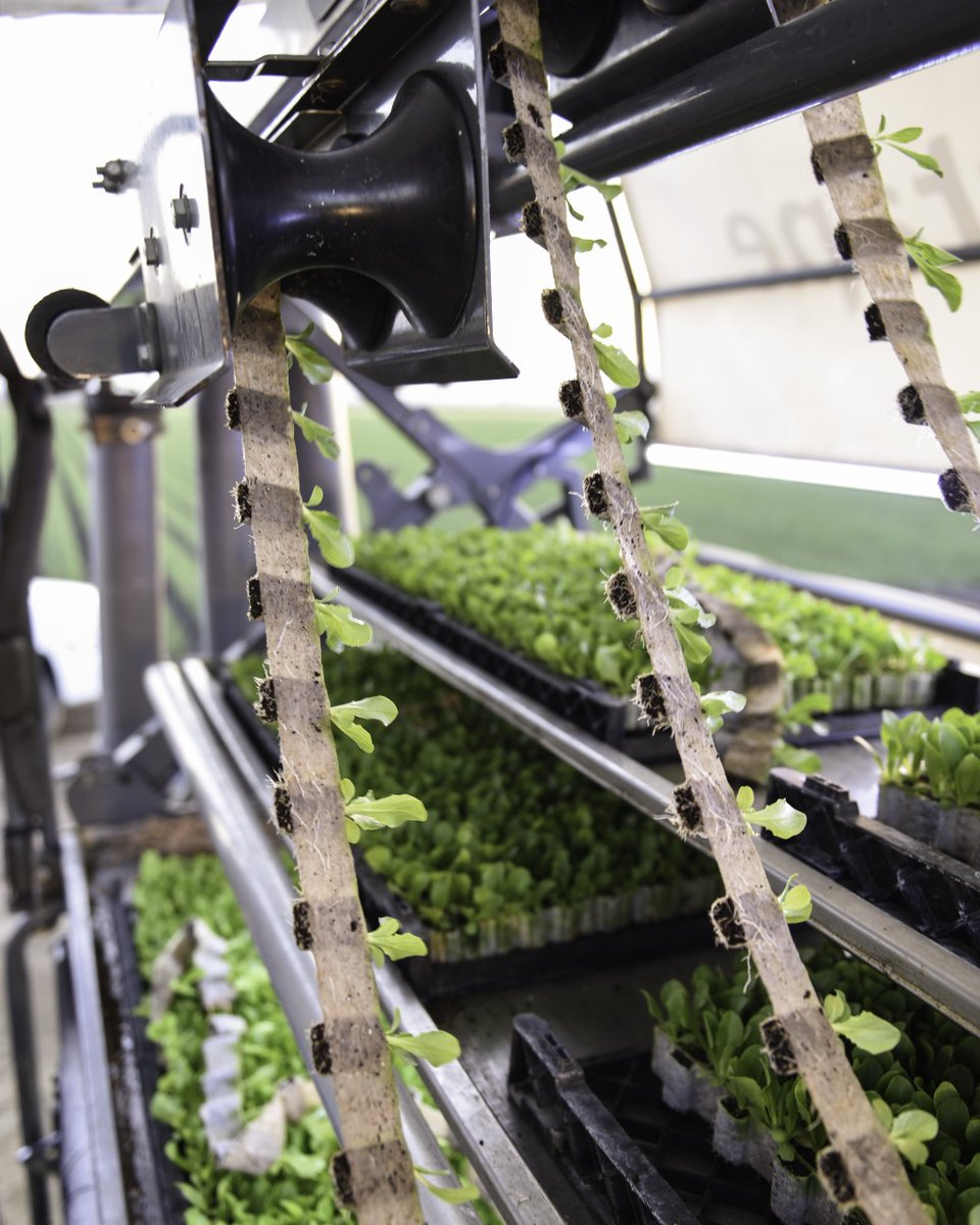 PlantTape - automated transplanting system tweet media