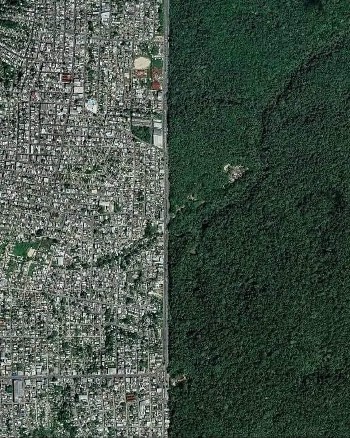 The border between the Brazilian city of Manaus and the Amazon rainforest. 💚 🇧🇷