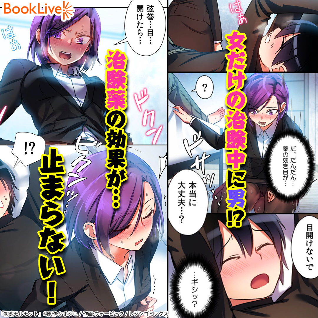 みるく on X: 初恋モルモットはほんとにオススメ  X