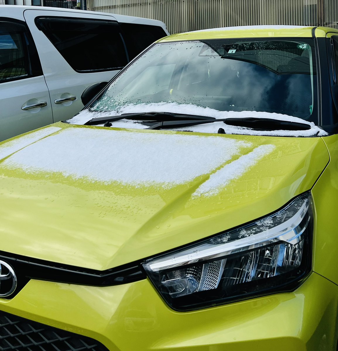 あら、雪⛄️

 #夜勤明け