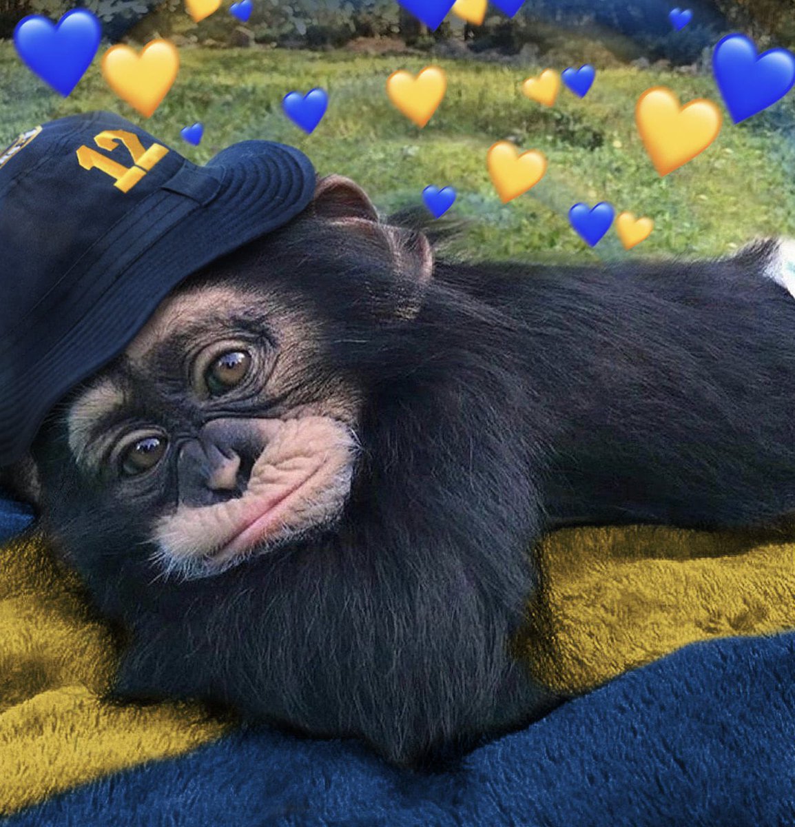 Ganó Boca, se cancela la depresión hasta el sábado que viene.