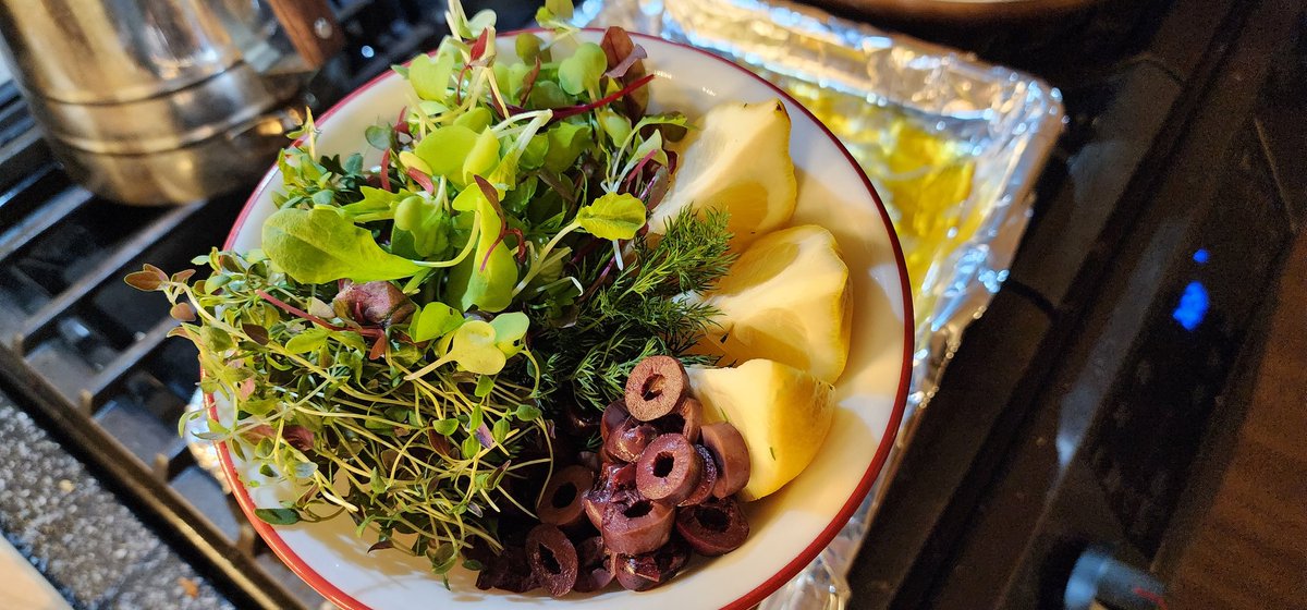 SpongeyAstro's tweet photo. Today's dinner is a Greek Salmon Salad.  Mixed greens &amp; microgreens from Huron Farms, homemade pickled red onion, red bell pepper, Feta, and Kalamata olives.  Salmon was seasoned with salt, pepper, red pepper flakes, garlic, lemon, and dill. https://t.co/8EJdzLL2jw