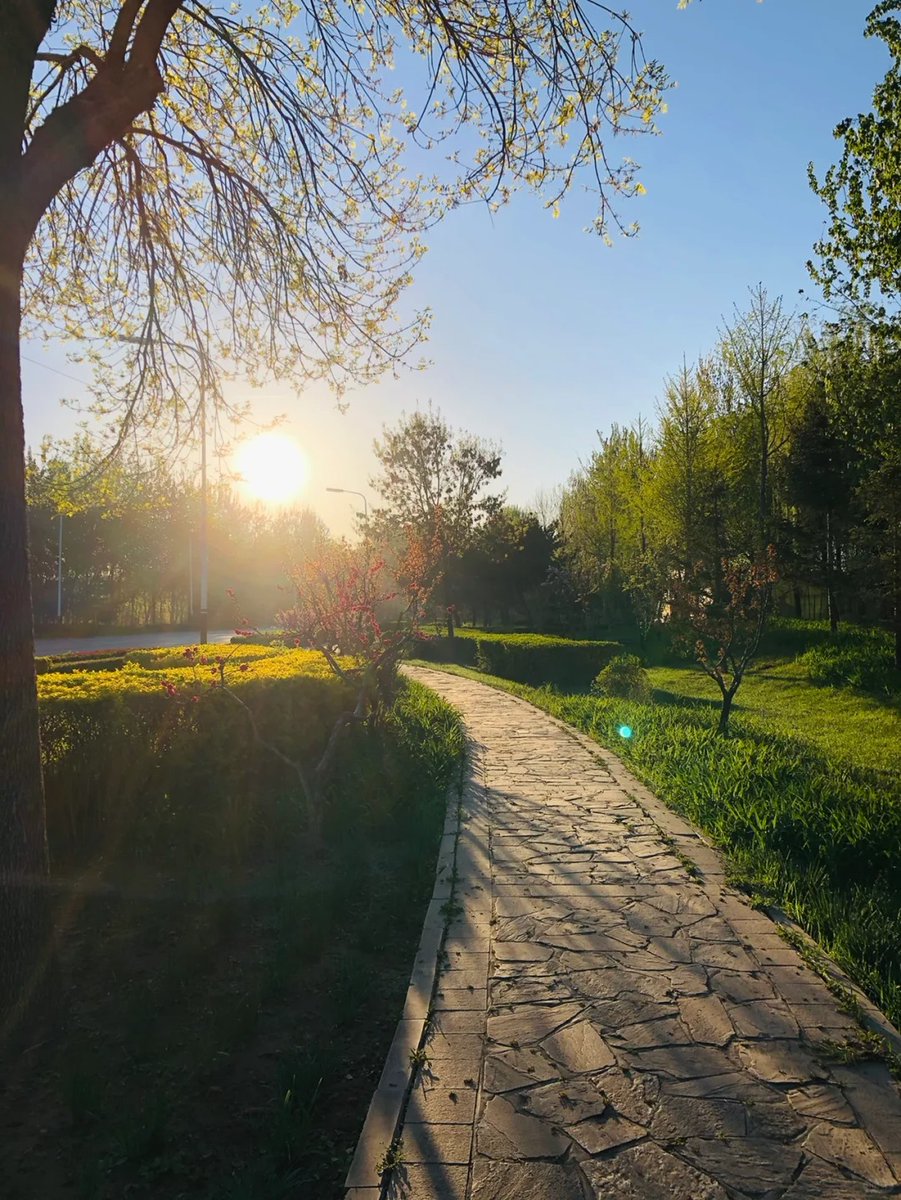 deliashot's tweet photo. Start your day with the first rays of sunshine https://t.co/verxPMjxeD