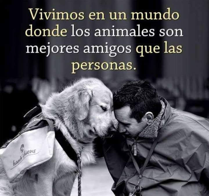 GRamirezF_D12's tweet photo. Buenas noches ✨💖 https://t.co/TVjZCTavvi