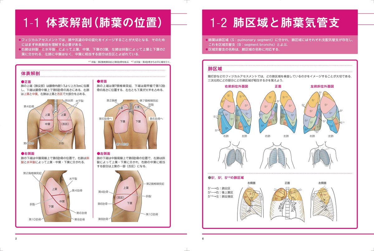 新刊紹介『フィジカルアセスメント徹底ガイド 呼吸（第2版』。15年ぶり