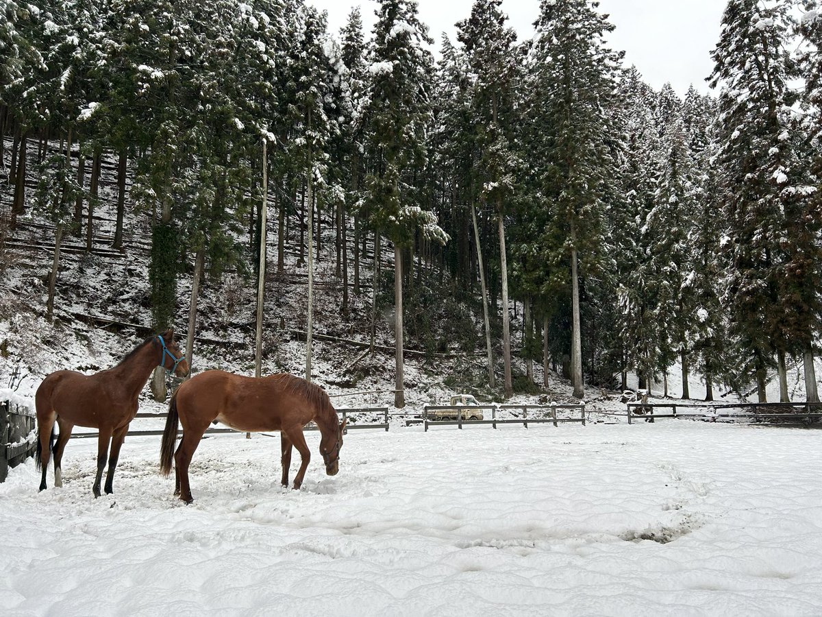 本日の東京都の朝の景色です