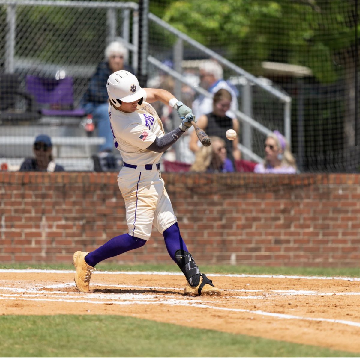 talan shirey tweet media