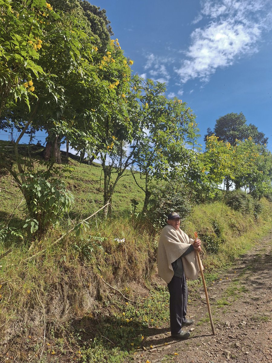 Julliethm_'s tweet photo. Luego de que falleciera, me di cuenta que teníamos muy poquitas fotos de mi abue en sus últimos años... Creo que por eso ahora tomo mil y un fotos y videos de mi abuelo, para poder recordarlo en todas sus versiones cuando ya no esté. https://t.co/Ynl4vfAGkG