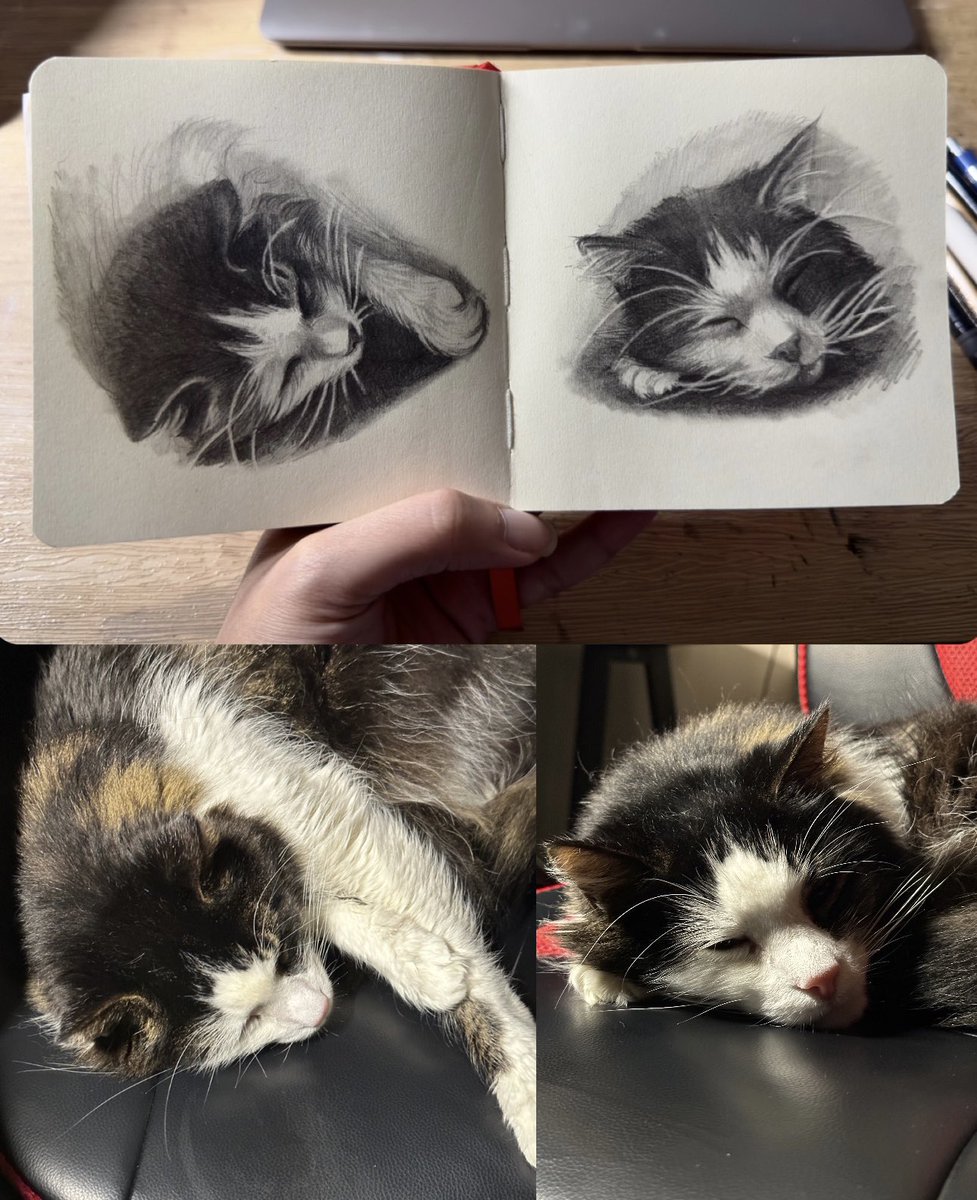 What do you do when your cat is sleeping on your chair? 🥹✍🏽