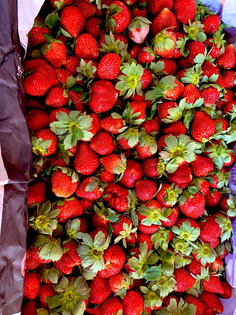 Kailangan ko po help niyo sa strawberries, a family strawbery farmers needs emergency cash for the payments of their college students tuition fee, they wrote a promissory letter for their late payments which is due on this week. You may want to buy for only 300 peso. Mura parin