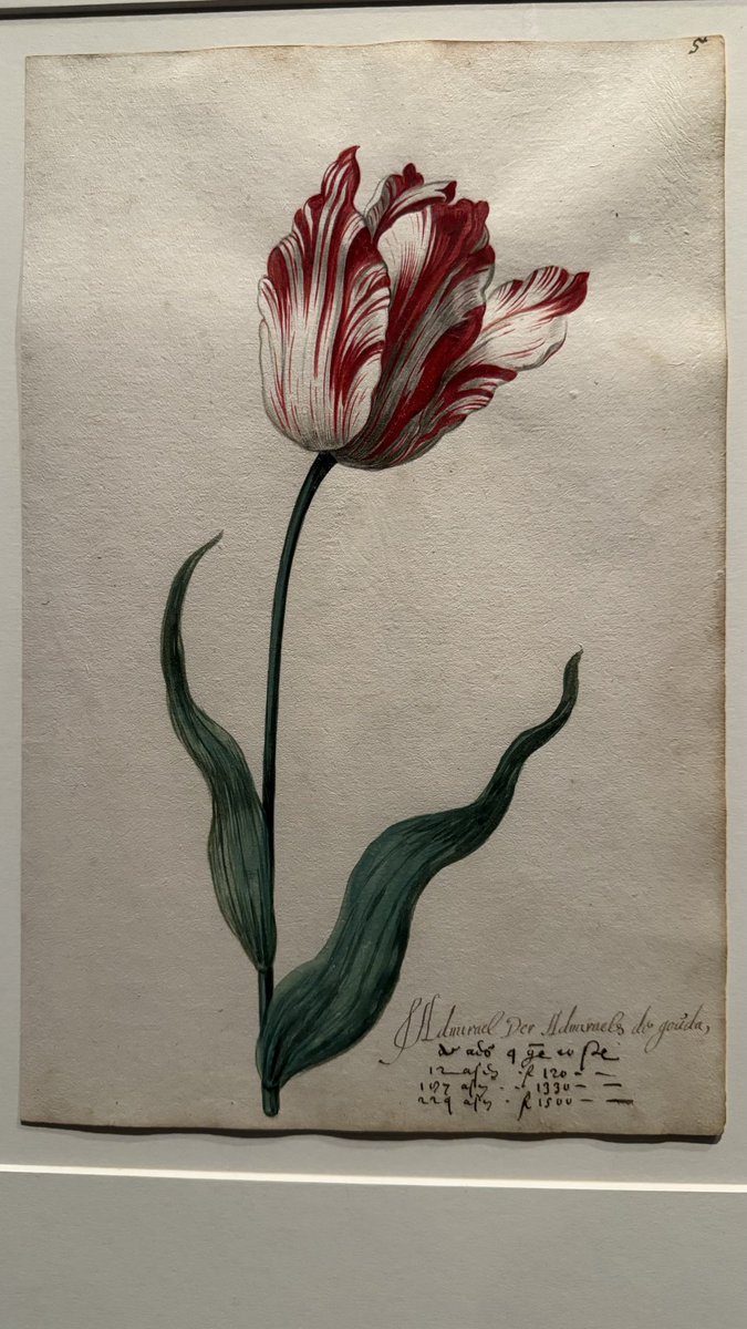 garrowiersema's tweet photo. Art from #Gouda in museum LA https://t.co/mrTT01kpjv