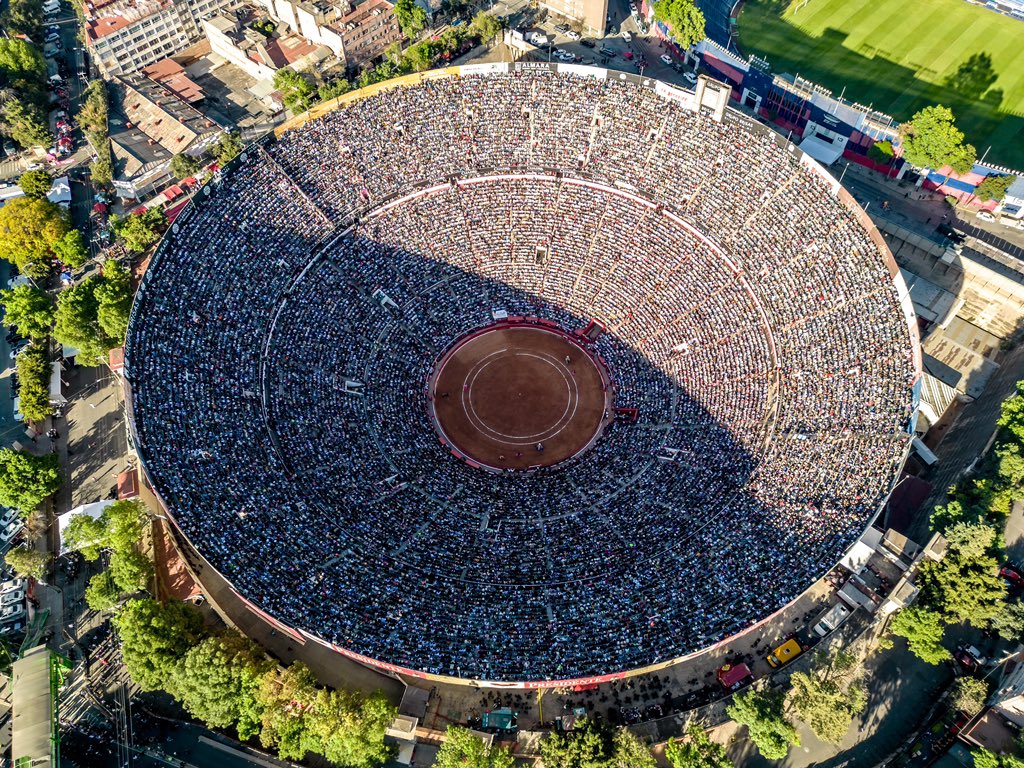 David Alberto Badillo tweet media