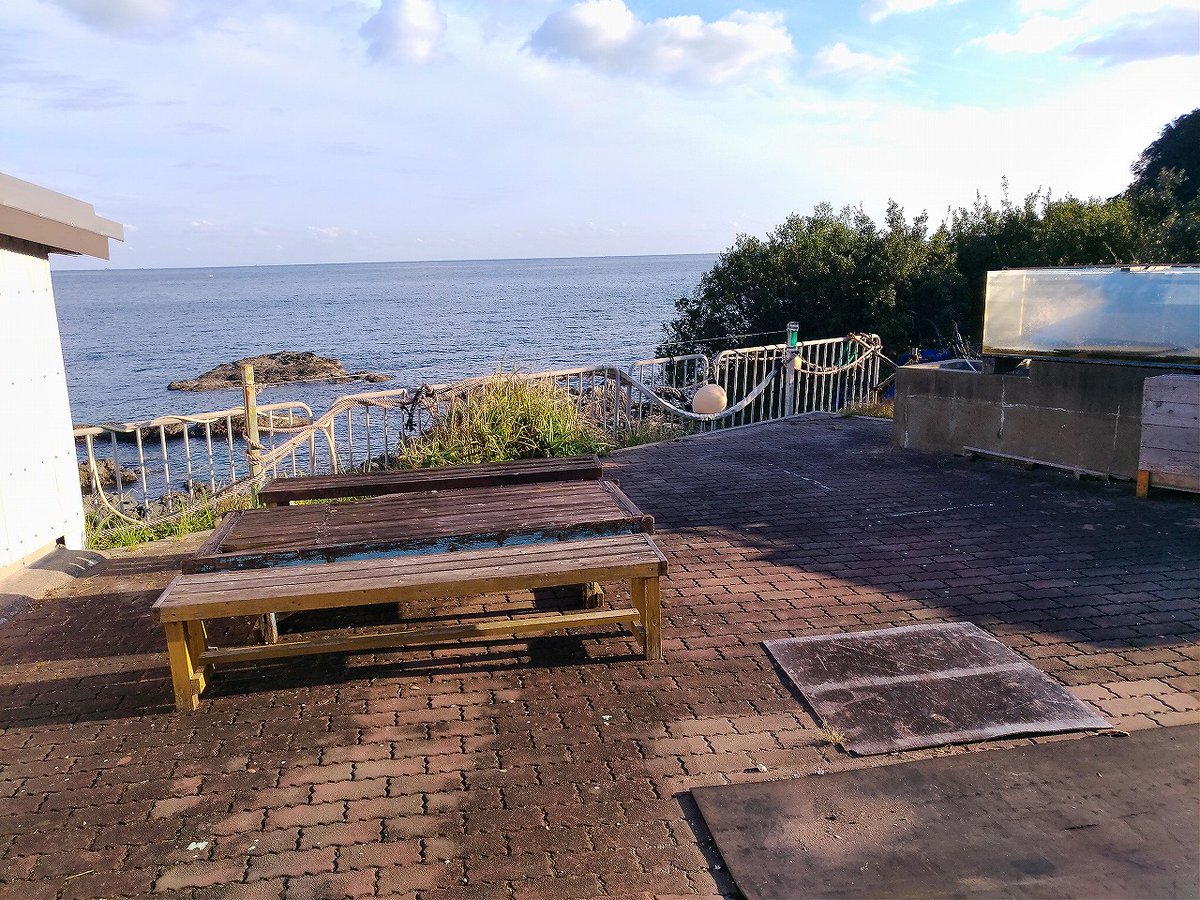 ここで夏はBBQしてみてはどうでしょう✨✨✨

　　　夏は予約でいっぱいです🥩🍖🍖
BBQの道具の貸し出しはないですが、場所提供します❗️❗️
オーストラリアではBBQは調理みたいです✌️
＃ｂｂｑ　＃和歌山　＃海のお宿