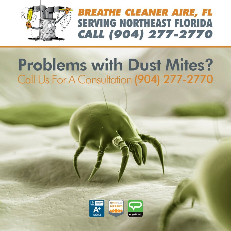 A #DustMiteAllergy occurs as a reaction to nearly microscopic #bugs that live in common house dust, mattresses, blankets and other fabrics. #DustMites feed on debris found in #DuctWork. Call #BreatheCleanerAireFL for a FREE consultation on (904) 277-2770. #northeastflorida