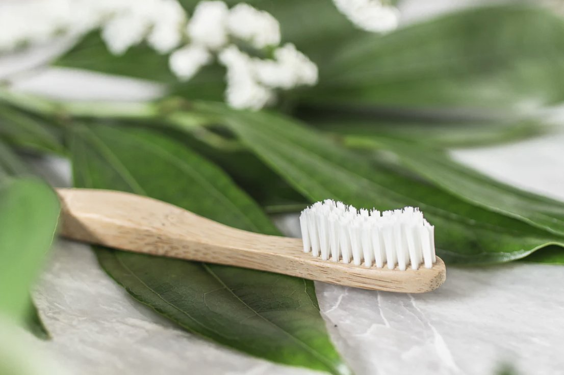 TAPcampaign's tweet photo. Approximately 1 billion plastic toothbrushes are thrown out each year in the United States alone! Swap your plastic toothbrush for a biodegradable bamboo toothbrush. Bamboo is a sustainable alternative that decomposes naturally.
#TAPoutplastic #plasticfree #bambootoothbrush https://t.co/Oe5vHZV1YZ