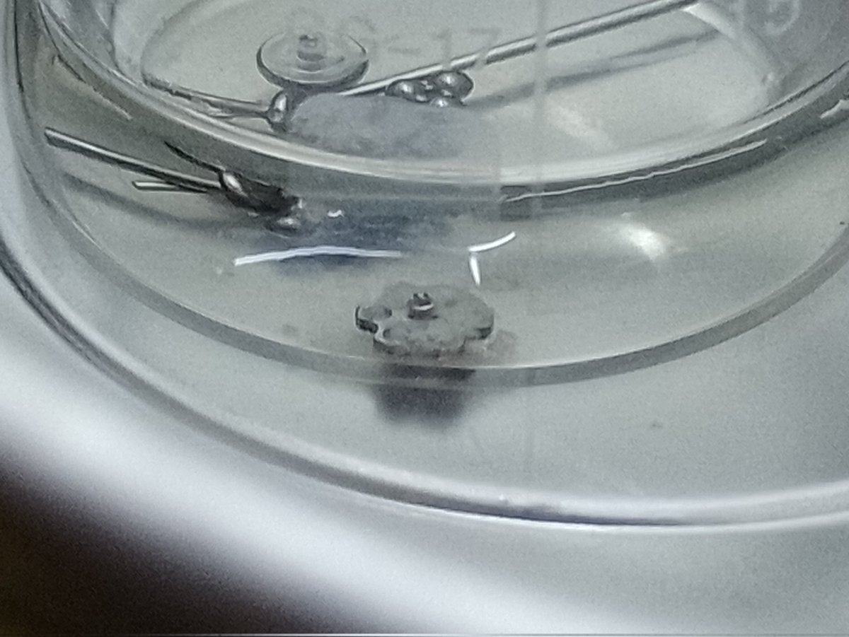 CrunchLuna's tweet photo. Así se ve un Top con cristales en forma de flor, en una perfo en Cicatrizacion 🤢🤢🤢 https://t.co/3BfoYOb6dZ