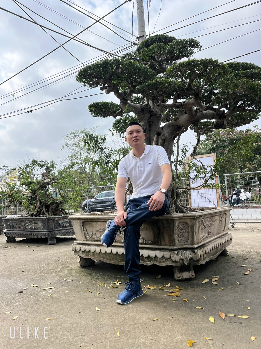 Bờm tweet media