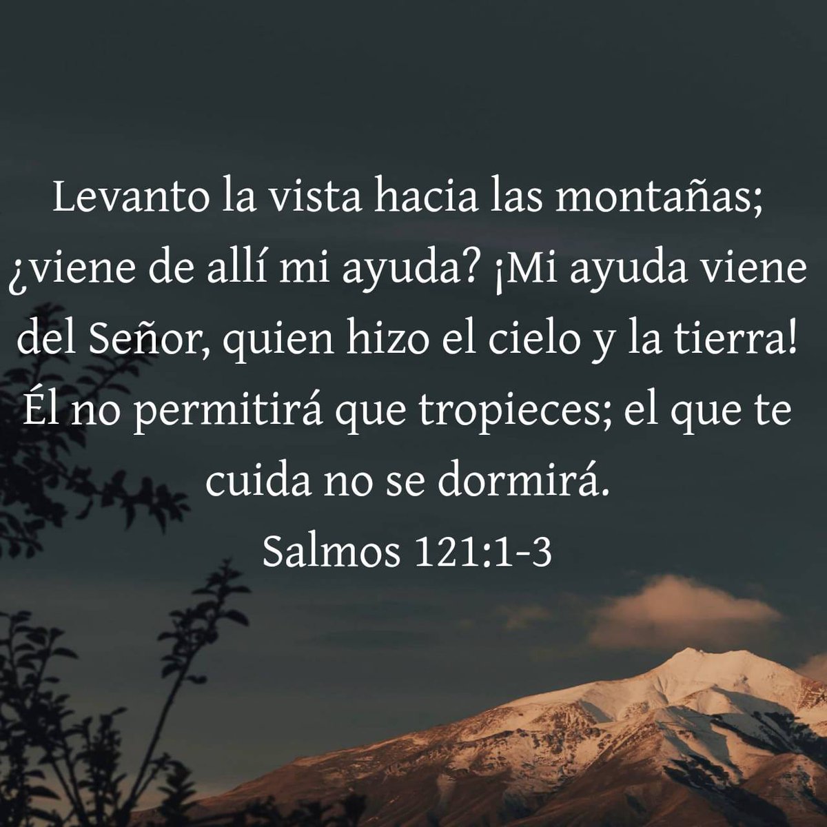 FinanzCL's tweet photo. Orando por Chile 

Pedimos, Señor, que bendigas a nuestros seres amados y a Chile a esta hora de la noche. 

Pedimos esto en nombre de Cristo Jesús, nuestro Señor y Salvador. 

Amén

#chile #oración #dios #cristo #jesús #yahshua #bendición https://t.co/QbBOhIJRQ3