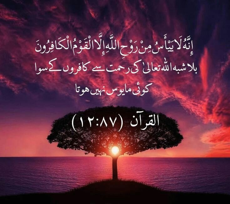 🌎 بلاشبہ سچا مسلمان مایوس نہیں ہوتا۔