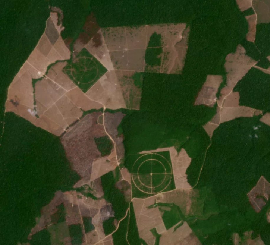 Deforestation (or Reforestation) target? Lol : ) This one is in the Brazilian state of Pará. #PlanetNICFI