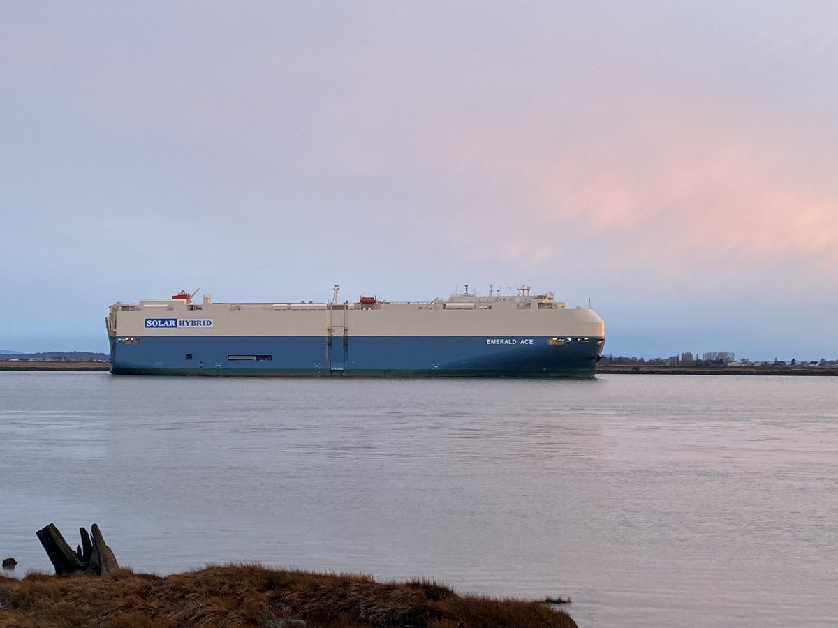 FraserRiverFind's tweet photo. Did you know that the “Emerald Ace” (IMO 9539236) was the world’s first hybrid car carrier?
Here it is sailing down the Fraser River past Shady Island and into the sunset near Steveston.
#gilbertbeach #solarhybrid
#shipspotting #richmondbc https://t.co/tgFmskHTfL
