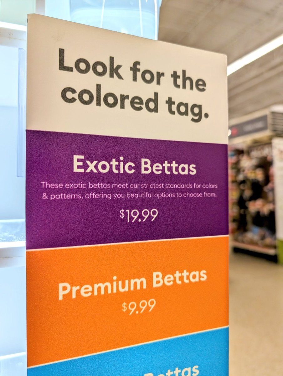 OMGarin's tweet photo. @ITYSL_memes They cost more because the patterns are so complicated. https://t.co/ClaZwjBZbu