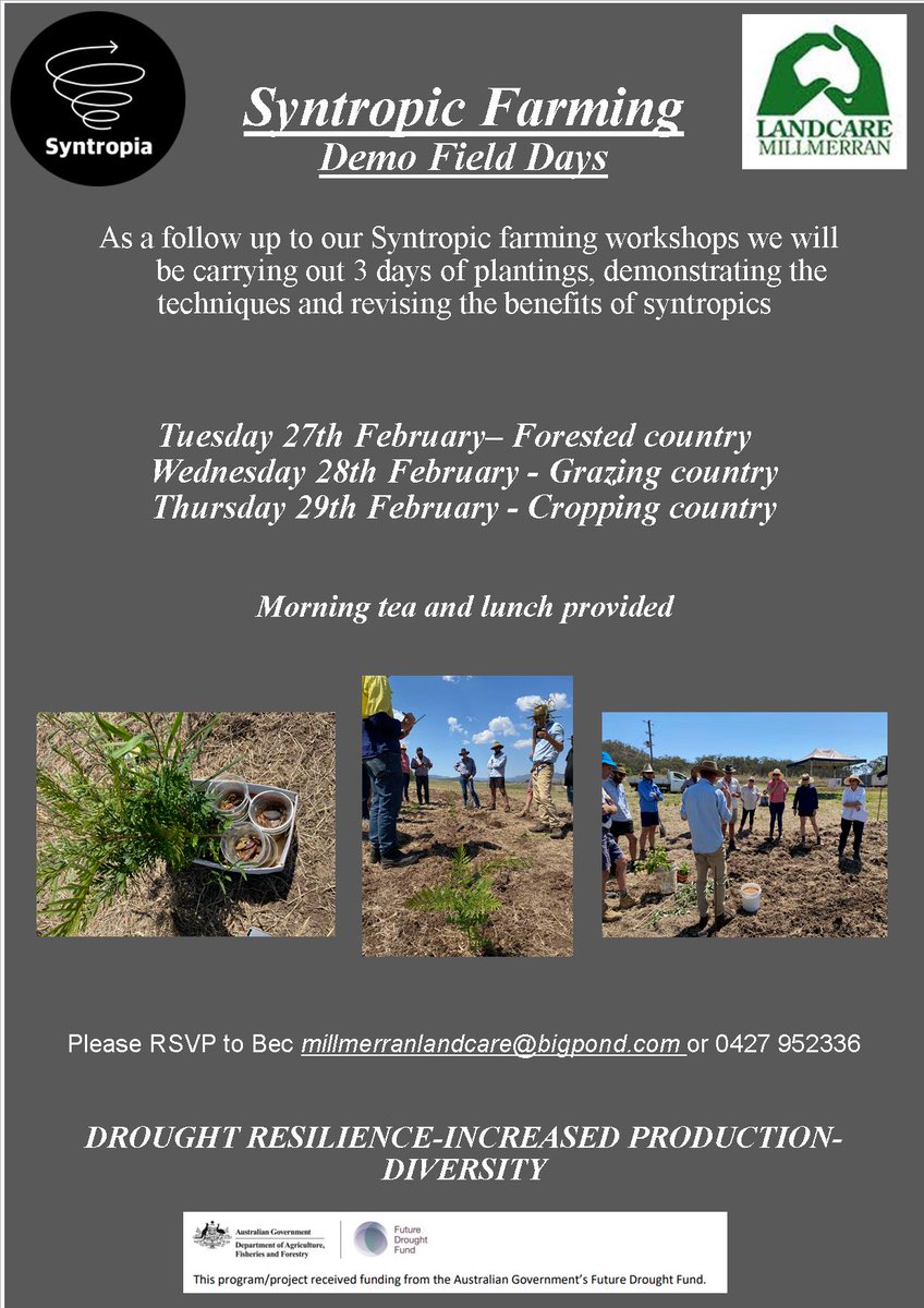 MillmerranL's tweet photo. #Syntropy #drought @syntropia_regen https://t.co/VMKk3mAwWc